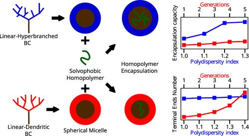 Micelle Forming Linear–Dendritic Block Copolymers: A Theoretical Comparison between Random Hyperbranched and Precise Dendrimer Polymer Architectures