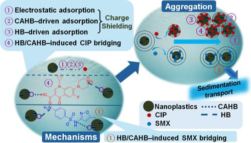 Interactions between Nanoplastics and Antibiotics: Implications for Nanoplastics Aggregation in Aquatic Environments