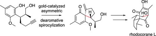 Synthesis of Rhodocorane L Using Gold-Catalyzed Dearomative Spirocyclization