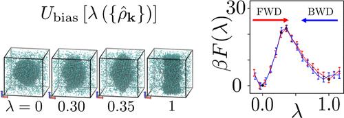 Thermodynamics of Self-Assembly and Supramolecular Transitions Using Enhanced Sampling