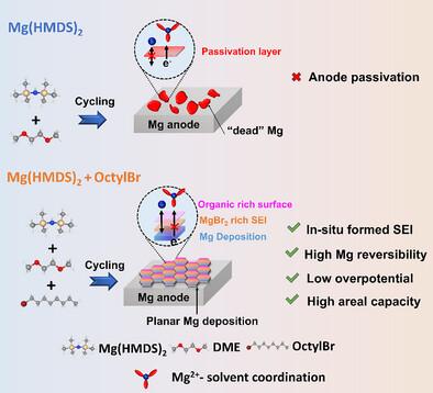Co-Regulating Planar Mg Deposition and Bromine-Rich Mg Anode-Electrolyte Interface by Multifunctional Organic Bromine Additive
