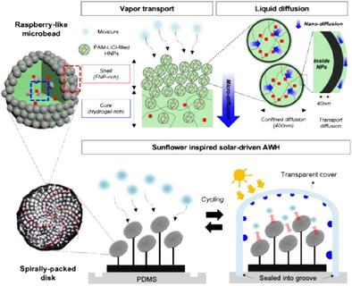 Highly Scalable, Raspberry-Like Microbeads with Nano-/Micro-Confined Hybrid Hydrogel Desiccants for Rapid Atmospheric Water Harvesting