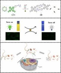 A N^N-bidentate ligand modified with tetraphenylethylene derivative for uranium detection and decorporation in vitro and in vivo