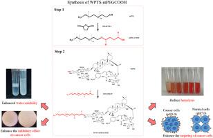 Preparation, physicochemical properties, hemolytic activity and cytotoxicity to cancer cells of polyethylene glycol-Wacao pentacyclic triterpenoid saponin(WPTS-mPEGCOOH)