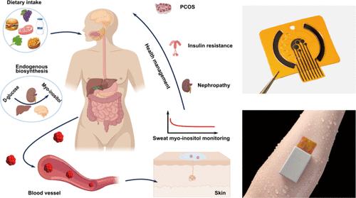 Skin-Interfaced Entirely Self-Contained Wearable Biosensor for the Noninvasive and Dynamic Monitoring of Sweat Myo-Inositol