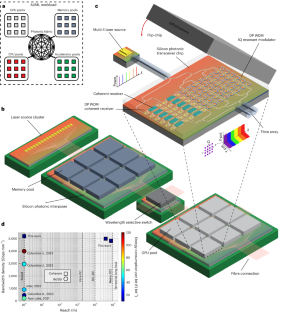 Ultrafast coherent dynamics of microring modulators
