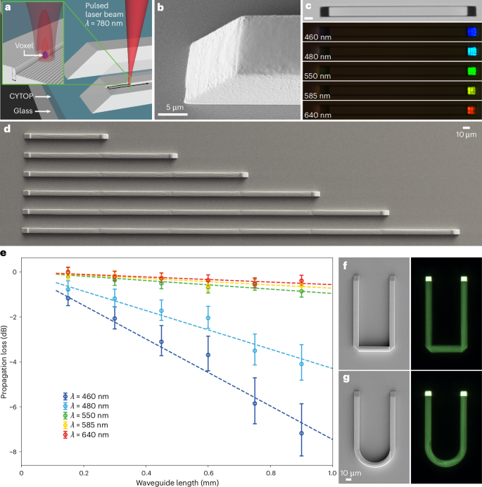 Microscale generation and control of nanosecond light by light in a liquid crystal