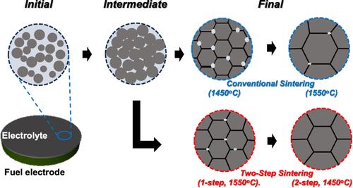 Two-Step Sintering for Dual Enhancement of Electrolyte and Hydrogen Electrode in Protonic Ceramic Electrochemical Cells