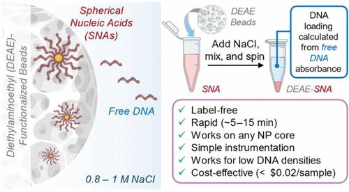 Label-Free Quantification of DNA Loading on Centrifugation-Resistant Spherical Nucleic Acids