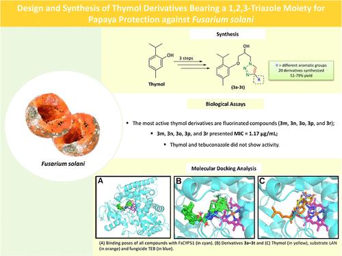 Design and Synthesis of Thymol Derivatives Bearing a 1,2,3-Triazole Moiety for Papaya Protection against Fusarium solani