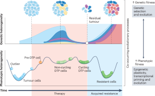Acquired resistance in cancer: towards targeted therapeutic strategies