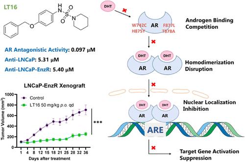 Unraveling the Efficacy of AR Antagonists Bearing N-(4-(Benzyloxy)phenyl)piperidine-1-sulfonamide Scaffold in Prostate Cancer Therapy by Targeting LBP Mutations