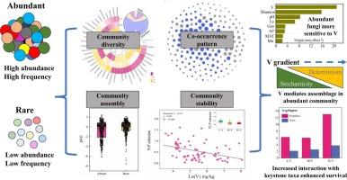 Unraveling the distinct response patterns of abundant and rare fungi to vanadium at nationwide smelting sites