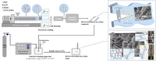 PET composite foam with high stiffness and high ductility: Synergistic effect of Toughener combined with simultaneous in-situ fibrillation of LCP/PTFE