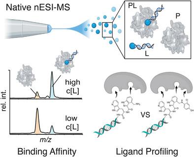 Native Mass Spectrometry Facilitates Hit Validation in DNA-Encoded Library Technology