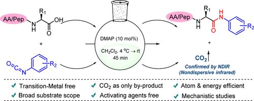 Decarboxylative C-Terminus Amidation of Amino Acids and Peptides in the Presence of Isocyanates.