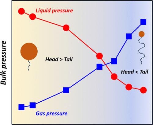 Spontaneous Curvature of Compressed Surfactant Monolayer Induces Capillary Pressure
