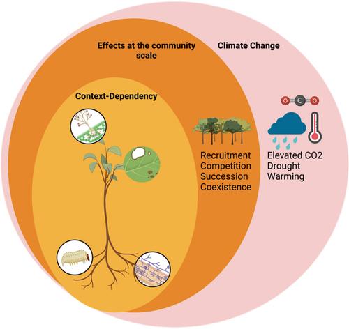 The influence of beneficial fungi on plant–enemy interactions and plant community structure