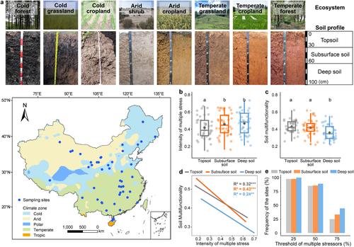 Negative Impacts of Global Change Stressors Permeate Into Deep Soils