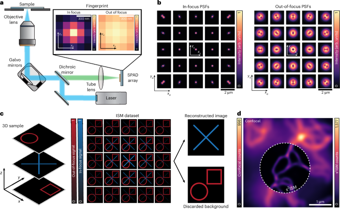 Structured detection for simultaneous super-resolution and optical sectioning in laser scanning microscopy
