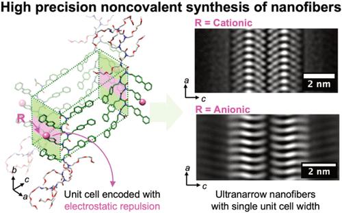 Crystalline Peptoid Nanofibers with a Single-Unit Cell Cross Section