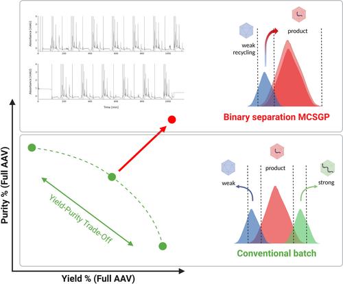 Enrichment of Full AAV2 Using Multicolumn Countercurrent Solvent Gradient Purification (MCSGP)