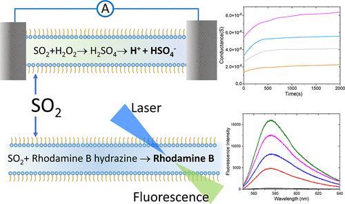 SO2 Gas Sensing by Nanometer-Thick Soap Films Using Conductometry and Fluorimetry