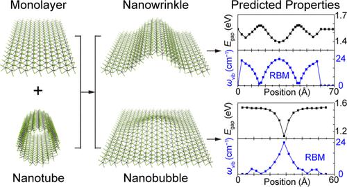 Theoretical Studies of Local Strain-Induced Heterogeneity in Electronic and Phononic Properties of WSe2 Nanostructures
