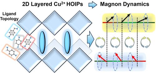 Enhancing Magnon–Magnon Coupling Strength to 0.6 GHz in Dion–Jacobson Cu(II)-Hybrid Perovskites by Tuning the Topology of Ligands