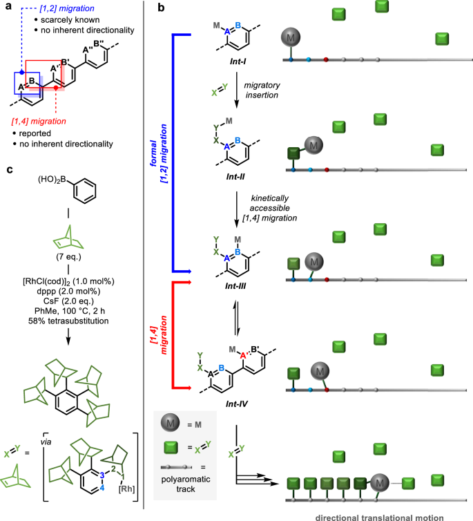 [1,n]-Metal migrations for directional translational motion at the molecular level