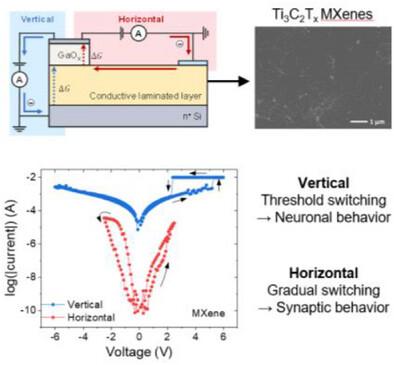 Bifunctional Memristive Behavior of a Dual-Layer Structure Depending on the Configuration of Charge Transport