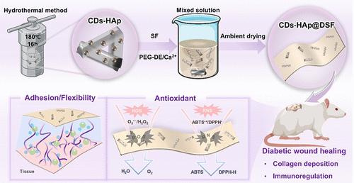 Enzyme-Mimetic Hydroxyapatite for Diabetic Wound Dressing with Immunomodulation and Collagen Remodeling Functions