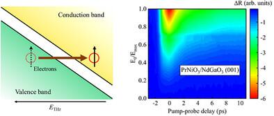 Terahertz-Driven Ultrafast Dynamics of Rare-Earth Nickelates by Controlling Only the Charge Degree of Freedom