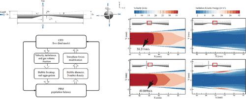 Investigation on Foaming Performance of a Swirl-Venturi Micrometer Bubble Generator Based on the Coupling CFD-PBM Method