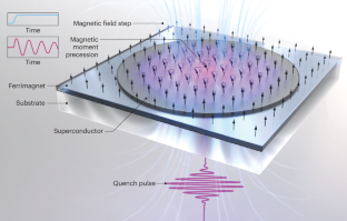 Controlling magnetization dynamics in a single step