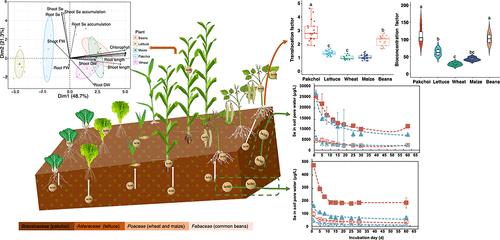 Fate of Exogenous Selenium in the Soil–Plant System: Se Accumulation, Translocation, and Effects on Growth in Vegetable, Legume, and Cereal Species