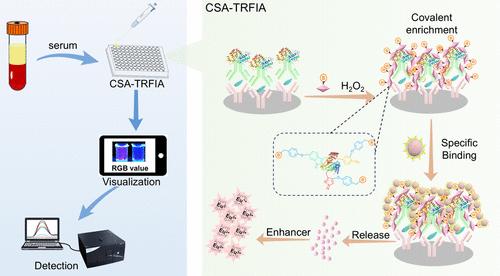 Cascade Signal Amplification of Time-Resolved Fluorescence Immunoassay through Enzyme Catalysis Coupled with Dissolution Enhancement