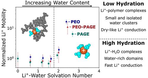 What is the Role of Relative Humidity on Conductivity in Polymer Electrolytes?