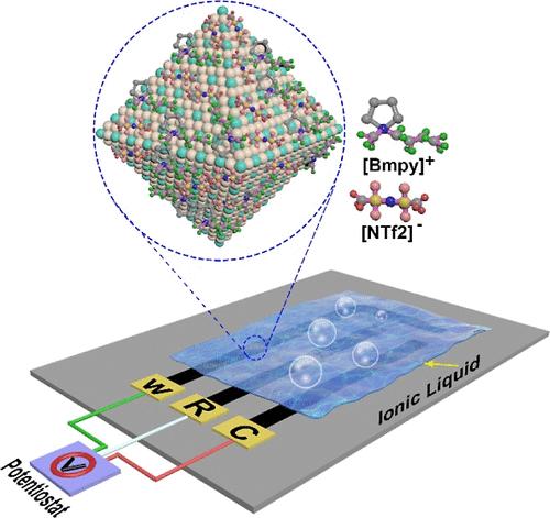 PtNi Nanocrystal–Ionic Liquid Interfaces: An Innovative Platform for High-Performance and Reliable H2 Detection