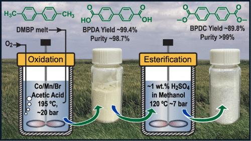 Scalable Synthesis of Dimethyl Biphenyl-4,4′-Dicarboxylate from Bio-Derived 4,4′-Dimethylbiphenyl