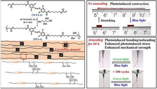 Physically Cross-Linked Main-Chain Ortho-Fluorinated Azobenzene Semicrystalline Polymer Photoactuators with Ultralarge Contraction and Multiple Reprogrammable Properties via Simple Thermal Annealing