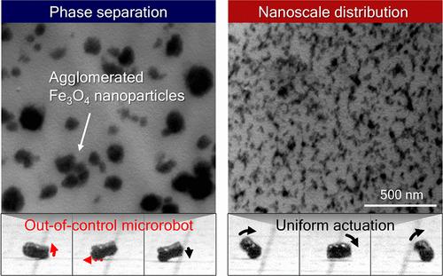 Pivotal Role of Nanoparticle Distribution on Agile Steering of Magnetic Microrobots