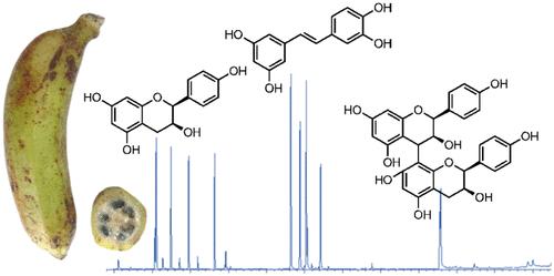Seedy Banana – A Source of Stilbenes and Flavan-3-ols