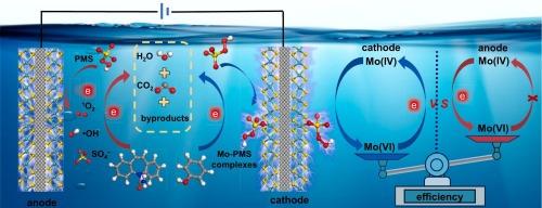 Sustainable peroxymonosulfate activation by 1T/2H-MoS2 cathode for enhanced removal of organic pollutants: Performance and nonradical activation mechanism based on surface Mo-peroxymonosulfate complexes