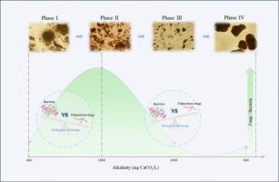 Alkalinity role in recovery of disintegrated halophilic aerobic granular sludge treating high salt-alkali wastewater: Insights into community ecology of fungi and bacteria
