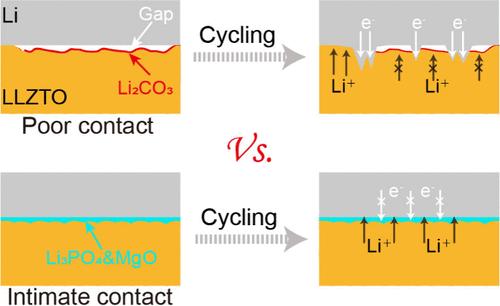 Interface Engineering for Constructing Air-Stable and Lithiophilic Garnet-Type Solid Electrolytes