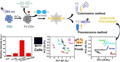 Fluorescence/colorimetric intelligent sensor based on Fe-adsorbing carbon dots nanozymes for selective recognition and quantification of total antioxidant capacity in foods and cells