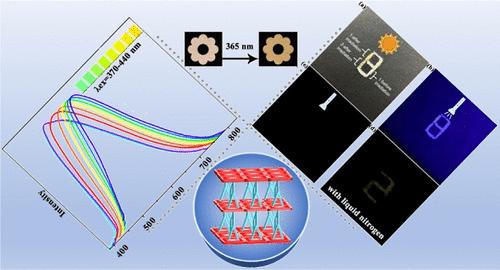 Cd-Based Coordination Frameworks with Multiple Optical Properties: Tunable RTP, Photochromism, and SHG Efficiency