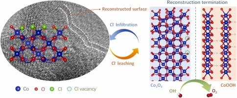 Chlorine-facilitated amorphous Co-based catalyst with self-termination of surface reconstruction for seawater splitting