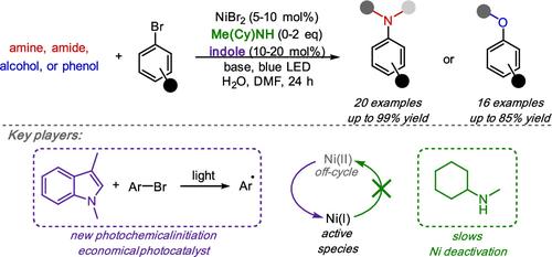 Indole Photocatalysts and Secondary Amine Ligands Enable Nickel-Photoredox C(sp2)–Heteroatom Couplings